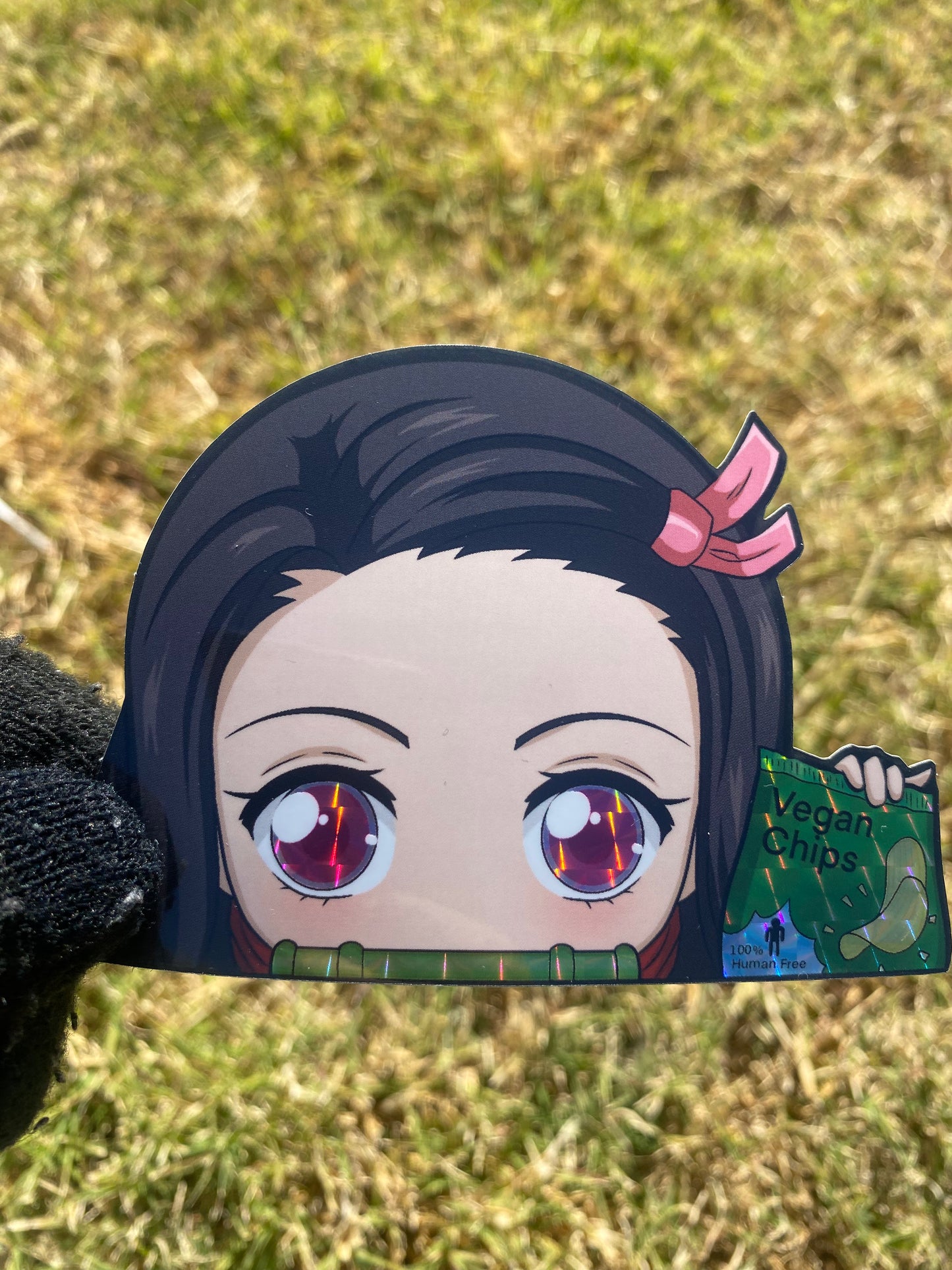 Anime Vinyl Stickers